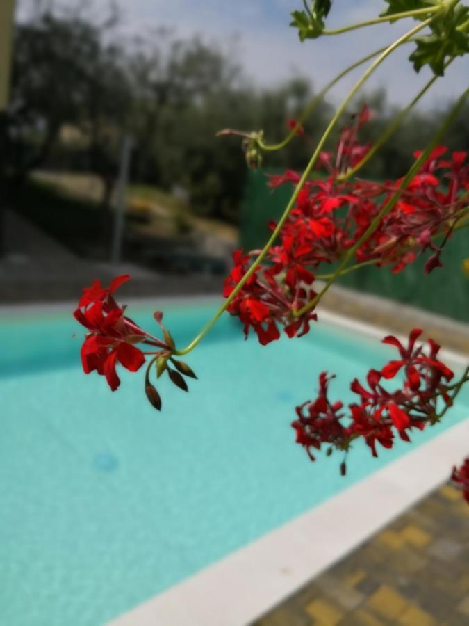 Appartamenti Bellini Bardolino Bagian luar foto