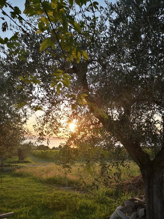 Appartamenti Bellini Bardolino Bagian luar foto