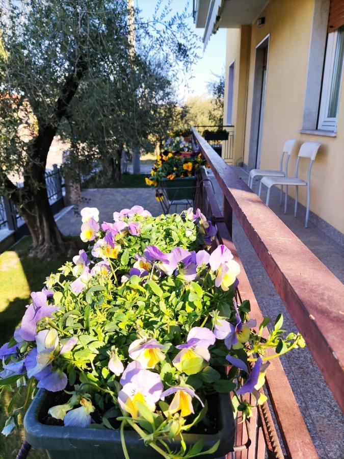 Appartamenti Bellini Bardolino Bagian luar foto