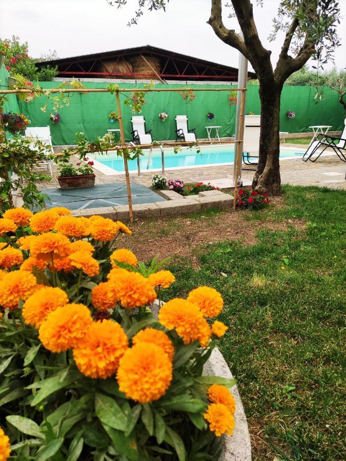 Appartamenti Bellini Bardolino Bagian luar foto