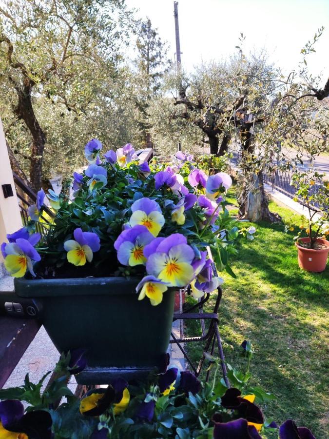 Appartamenti Bellini Bardolino Bagian luar foto